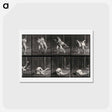 アートポストカード-Wrestling Men
 - エドワード マイブリッジ Postcard.