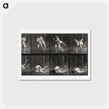 アートポストカード-Wrestling Men
 - エドワード マイブリッジ Postcard.
