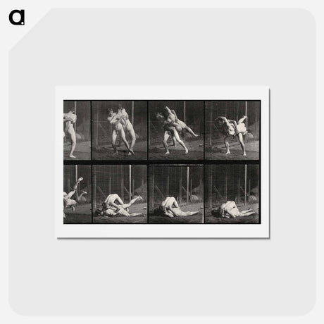 アートポストカード-Wrestling Men
 - エドワード マイブリッジ Postcard.