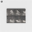 2-79_Eadweard-Muybridge_memo