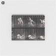 アートメモ帳-Wrestling Men
 - エドワード マイブリッジ Memo.