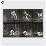 2-79_Eadweard-Muybridge_picture-crop