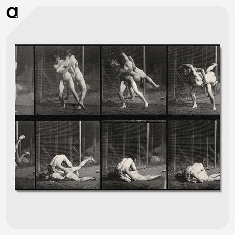 2-79_Eadweard-Muybridge_picture-crop