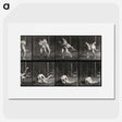 2-79_Eadweard-Muybridge_picture