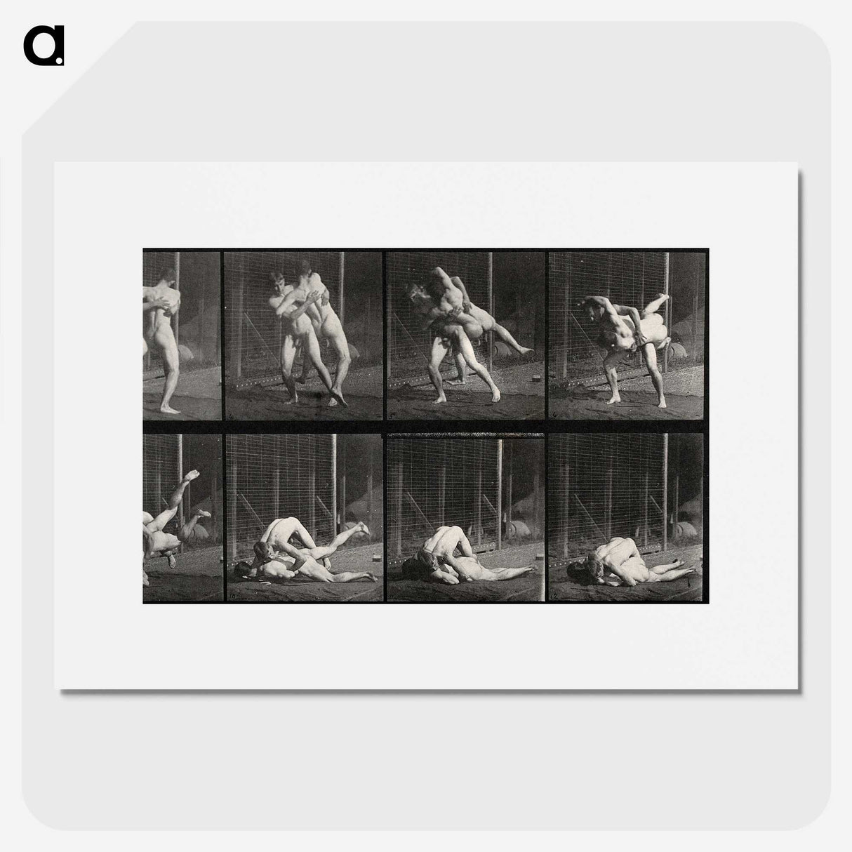 2-79_Eadweard-Muybridge_picture