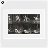 2-79_Eadweard-Muybridge_picture