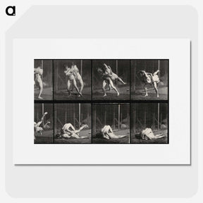 2-79_Eadweard-Muybridge_picture