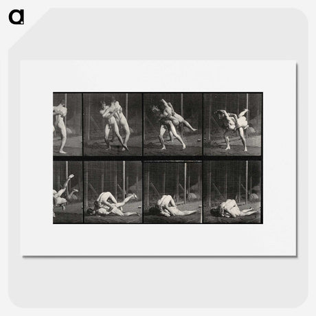 2-79_Eadweard-Muybridge_picture