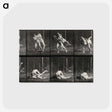 2-79_Eadweard-Muybridge_postcard