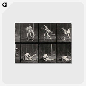 2-79_Eadweard-Muybridge_postcard
