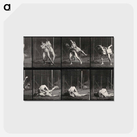 アートポストカード-Wrestling Men
 - エドワード マイブリッジ Postcard.
