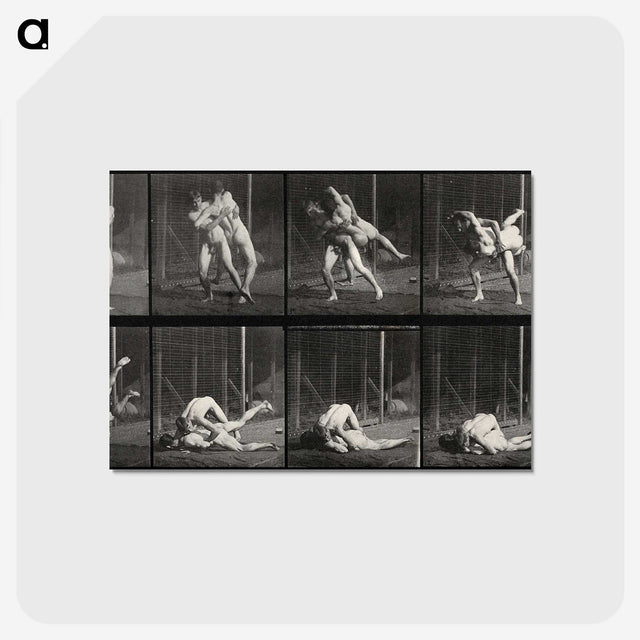 2-79_Eadweard-Muybridge_postcard