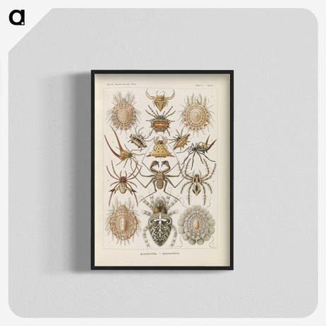 2-79_Ernst-Haeckel_blk-crop