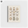 2-79_Ernst-Haeckel_memo