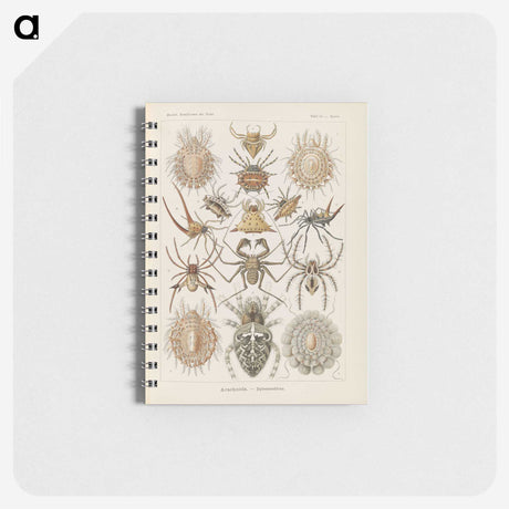 2-79_Ernst-Haeckel_memo