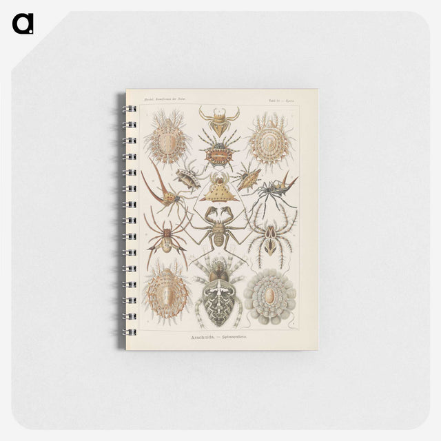 2-79_Ernst-Haeckel_memo