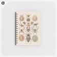 アートメモ帳-Insects illustration from Kunstformen der Natur - エルンスト ヘッケル Memo.