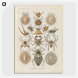 2-79_Ernst-Haeckel_picture-crop