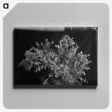 2-79_Frederick-Charles-Brockett_canvas