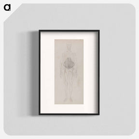 アートポスター-Human Figure, Anterior View
 - ジョージ スタッブス Poster.