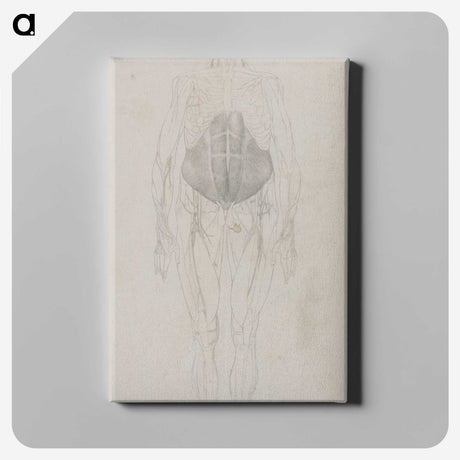 2-79_George-Stubbs_canvas