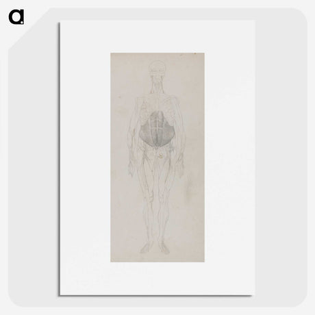 2-79_George-Stubbs_picture