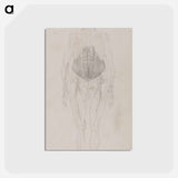 アートポストカード-Human Figure, Anterior View
 - ジョージ スタッブス Postcard.