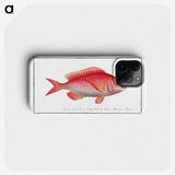 2-79_Ichtyologie-ou-Histoire-naturelle_phone