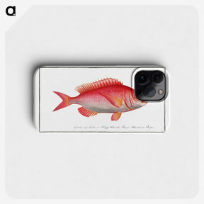 2-79_Ichtyologie-ou-Histoire-naturelle_phone