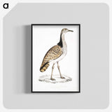 2-79_Indian-Zoology_blk-crop