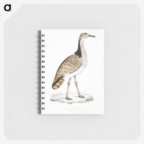 2-79_Indian-Zoology_memo