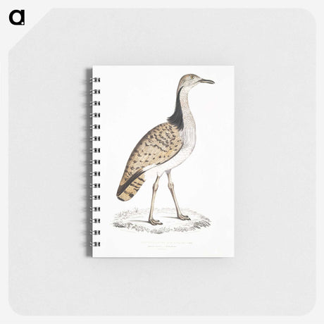2-79_Indian-Zoology_memo