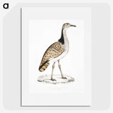 2-79_Indian-Zoology_picture
