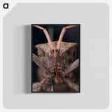 2-79_Insects-Unlocked-Project_blk-crop