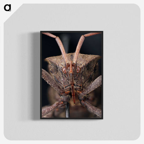 2-79_Insects-Unlocked-Project_blk-crop