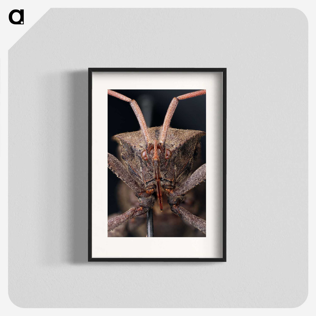 2-79_Insects-Unlocked-Project_blk