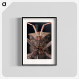 2-79_Insects-Unlocked-Project_blk