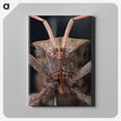 2-79_Insects-Unlocked-Project_canvas