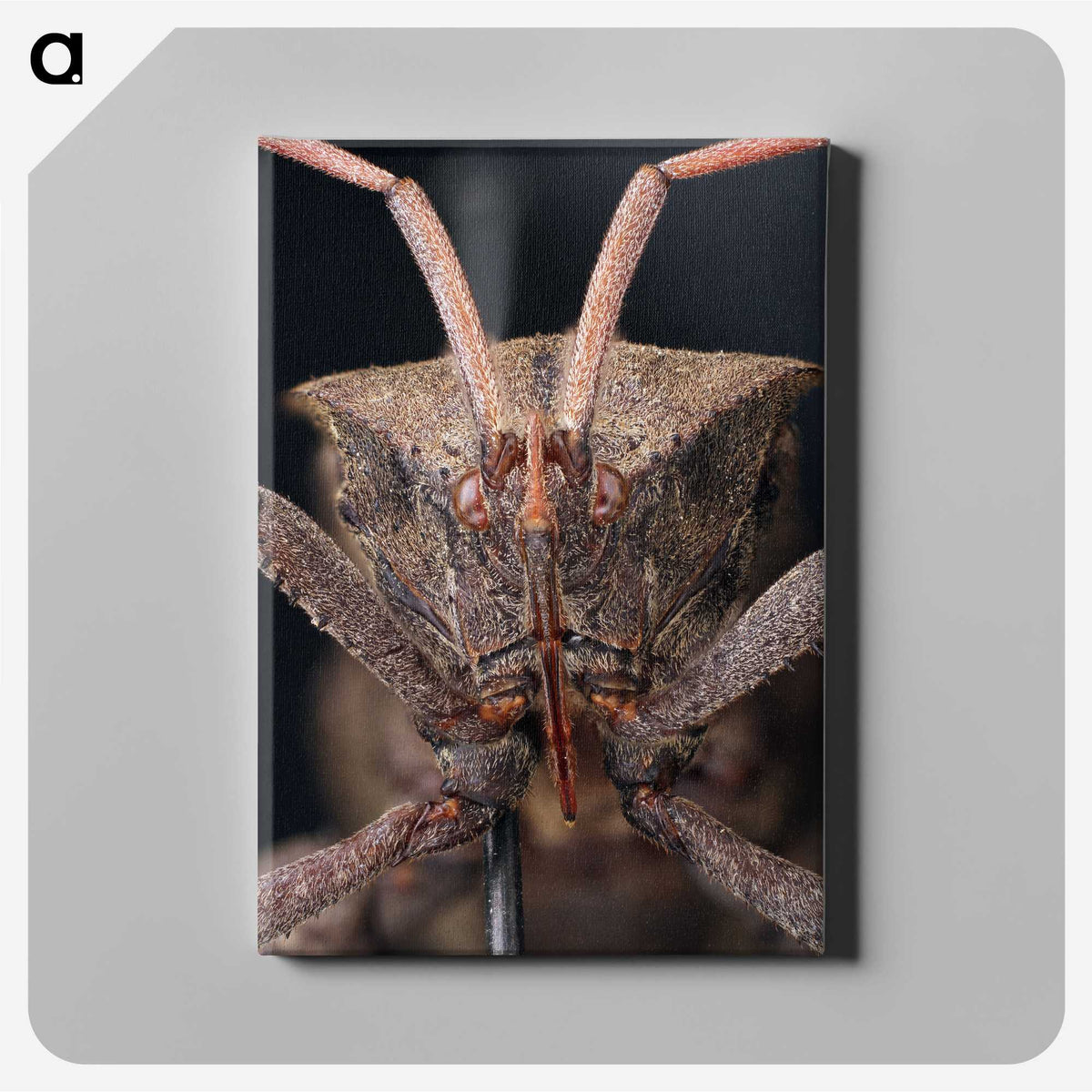 2-79_Insects-Unlocked-Project_canvas