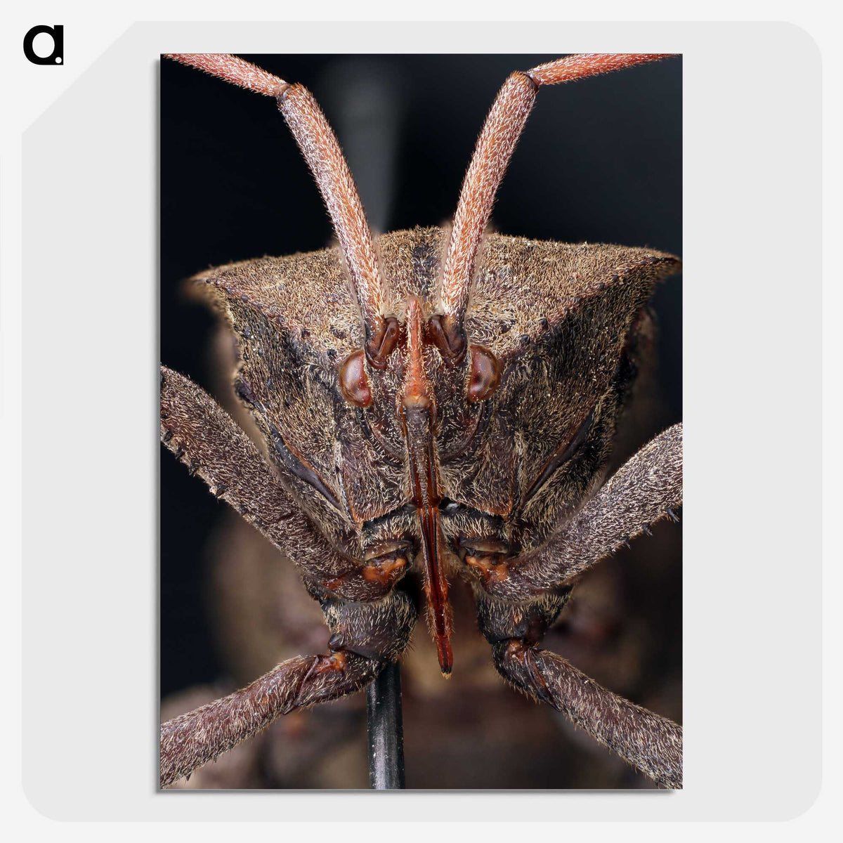 2-79_Insects-Unlocked-Project_picture-crop