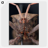 2-79_Insects-Unlocked-Project_picture-crop
