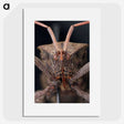 2-79_Insects-Unlocked-Project_picture