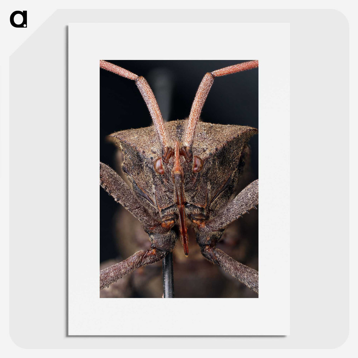 2-79_Insects-Unlocked-Project_picture