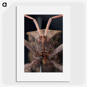 2-79_Insects-Unlocked-Project_picture