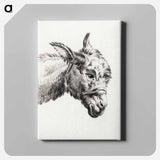 アートパネル-Head of a donkey - ジャン ベルナール Canvas.