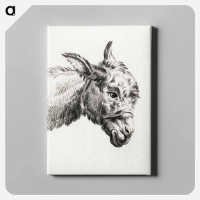 アートパネル-Head of a donkey - ジャン ベルナール Canvas.