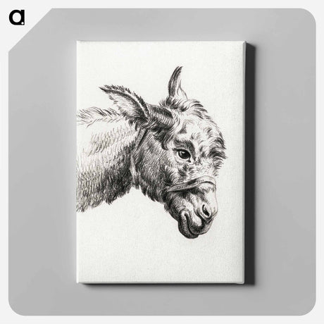 アートパネル-Head of a donkey - ジャン ベルナール Canvas.