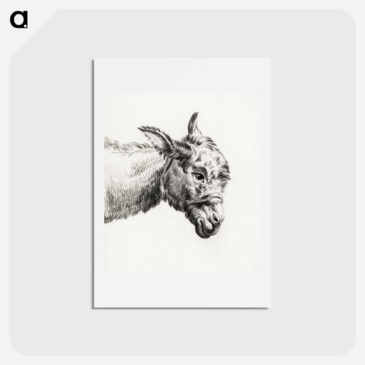 アートポストカード-Head of a donkey - ジャン ベルナール Postcard.