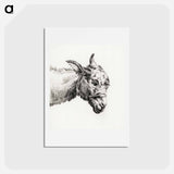 アートポストカード-Head of a donkey - ジャン ベルナール Postcard.