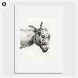 2-79_Jean-Bernard_picture